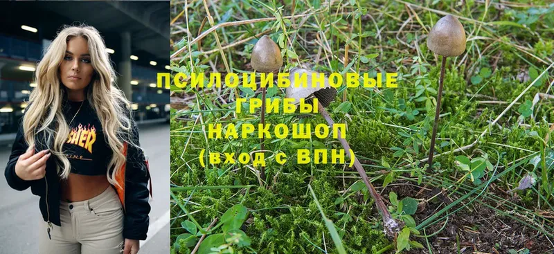 Псилоцибиновые грибы Magic Shrooms Балабаново